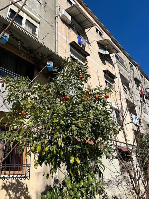Communist Style Room Shkoder Exterior photo